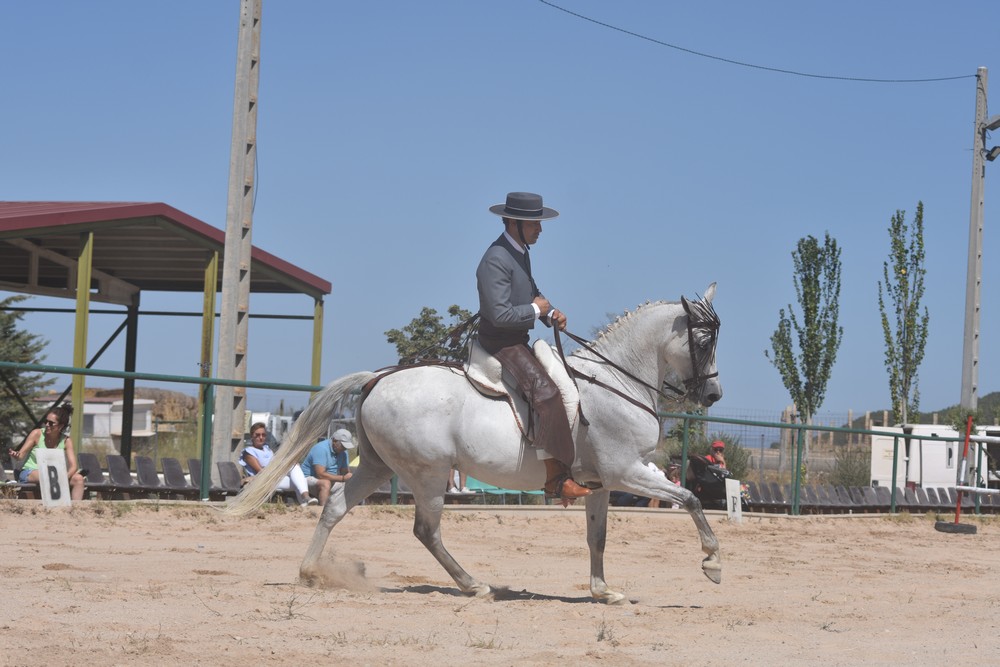Jornadas de Equitación de Trabajo en Falces
